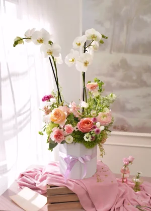 Orquídea en Edén