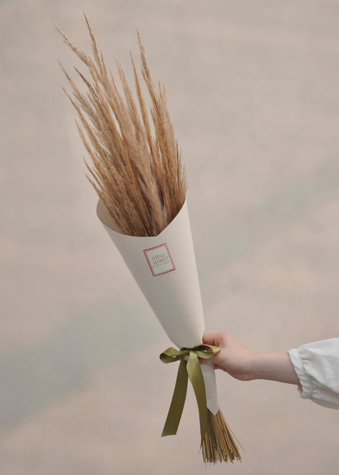 Plumillas - Imagen 2