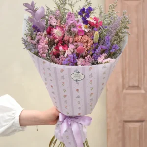 Bundle Lila